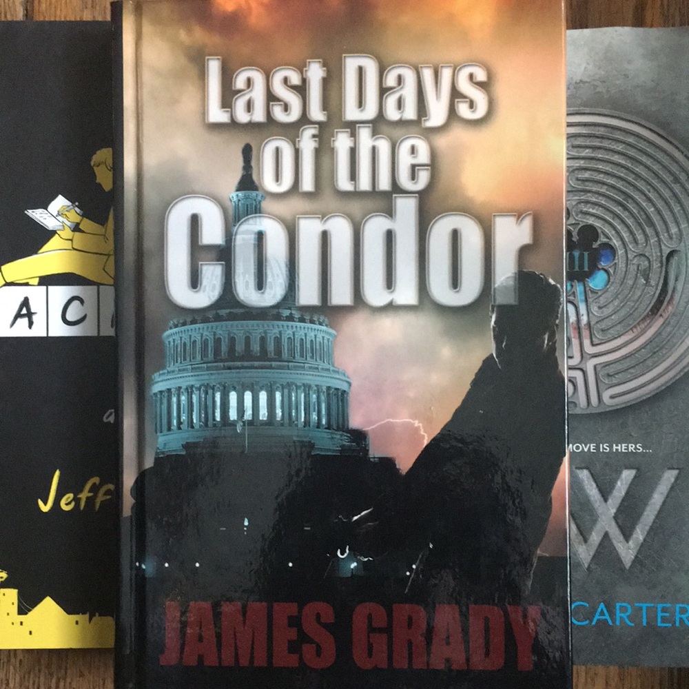 BOOK: Last Days of The Condor-Large Print (Hardcover)